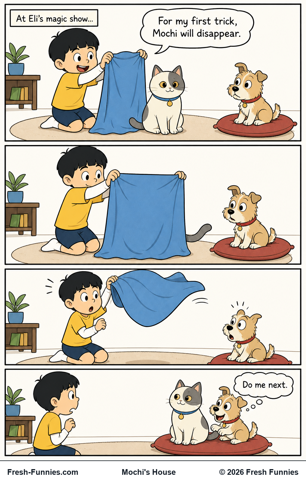 Mochi's House — Volunteer Audience